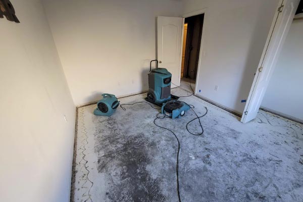 Water Damage Repair Remediation Services